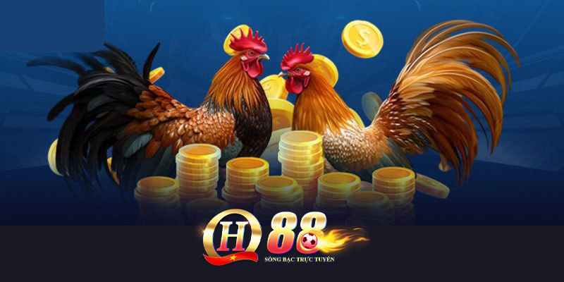 Đá Gà QH88 - Nơi Giao Lưu Của Những Tay Chơi Đam Mê!